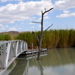 Rio Grande Village Nature Trail