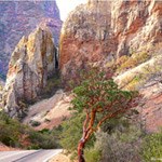 Chisos Basin Road