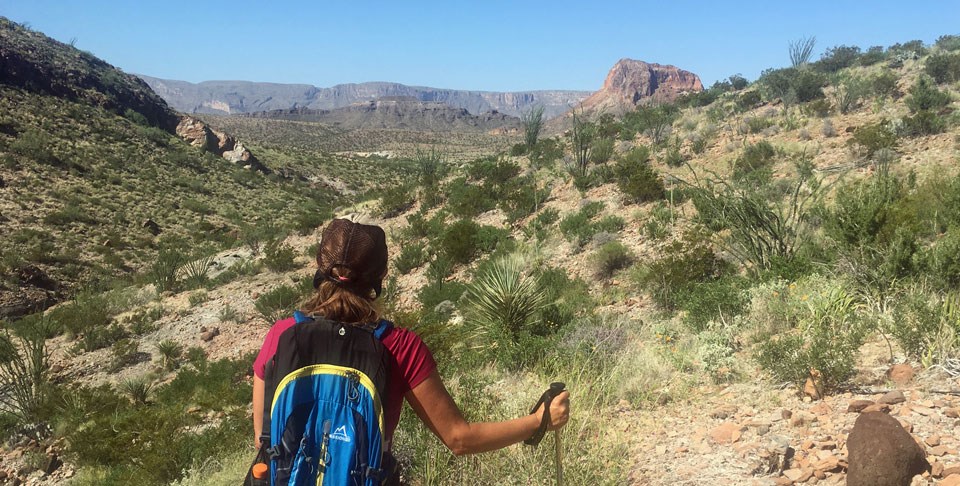 hiking the desert