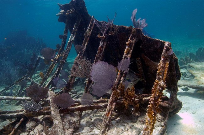 On New Years Day, 1966, the schooner Mandalay ran aground on Long Reef.