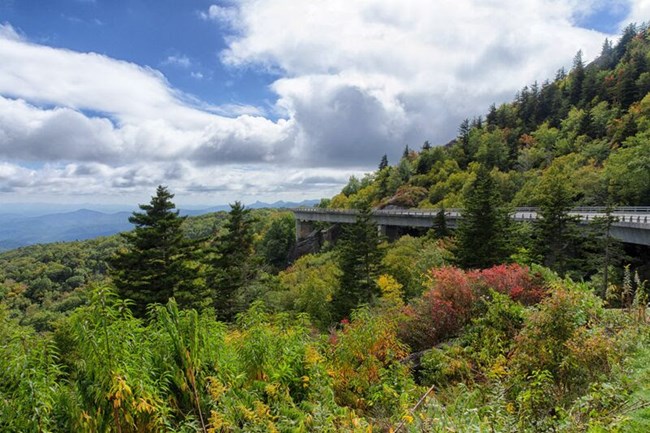 Linn Cove Viaduct immersed in fall colors