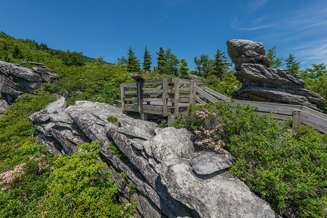 Tanawha Trail boardwalk over fragile habitat on Rough Ridge.