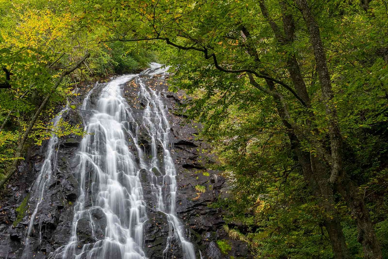 Waterfall clinging to rocks surrounded by green trees.