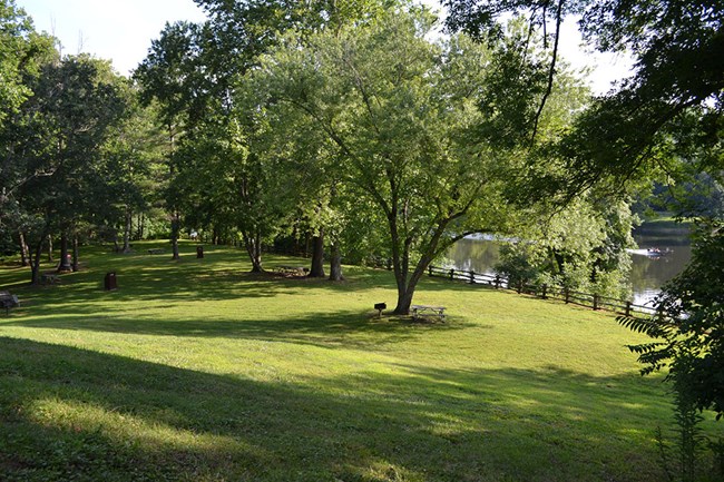 Picnic tables on a grassy knoll with shady trees