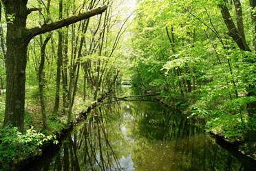 Blackstone Canal, Lincoln, RI