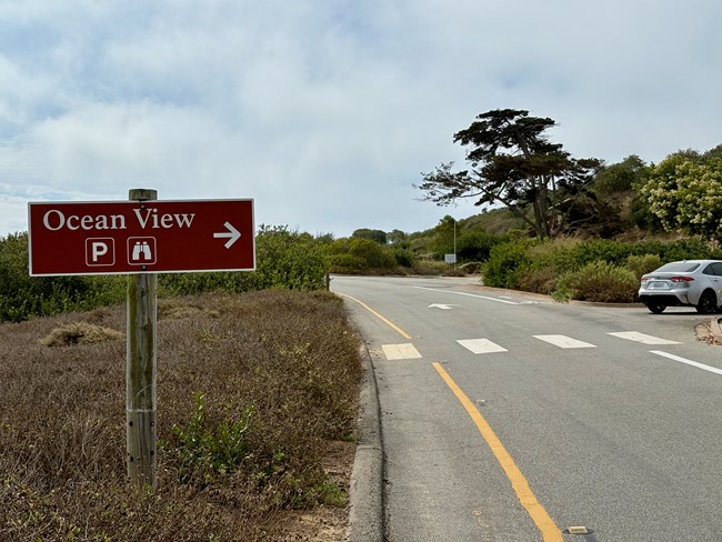 Brown "Ocean View" sign points right; road, crosswalk, parked car, trees, and bushes nearby.