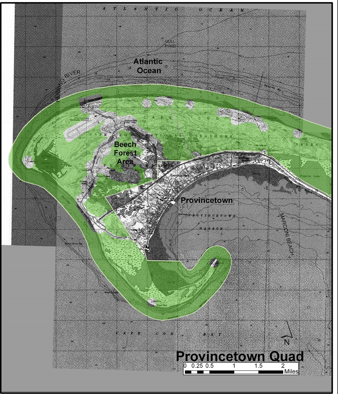 A map depicting road, houses, and boundaries.