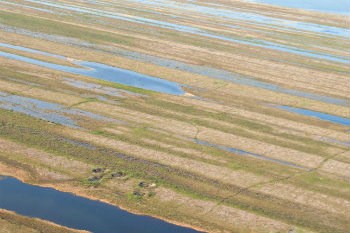 circular depressions on the tundra