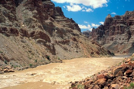 Honaker Trail Formation