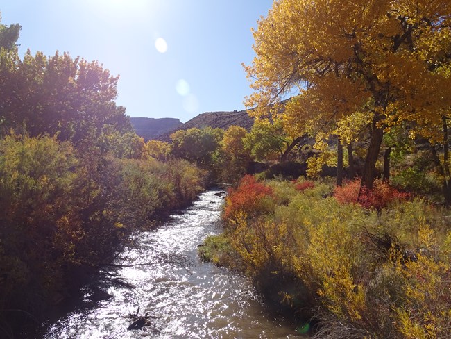 Small river with red and yellow leaves on trees beside it, and blue sky above.