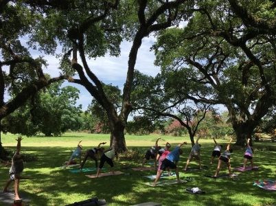 People preforming yoga poses on grass of lawn.