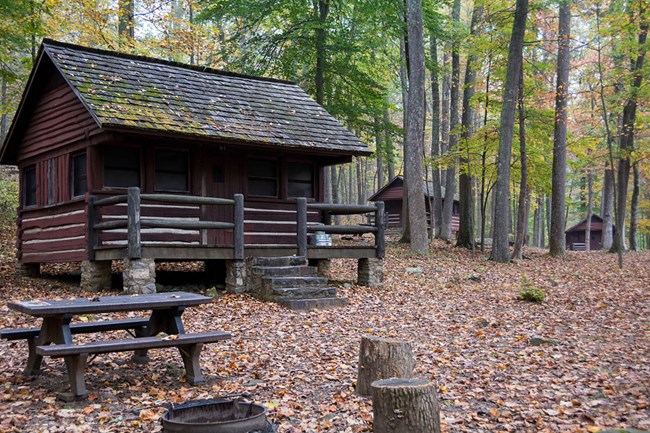 Chestnut Cabins At Camp Misty Mount