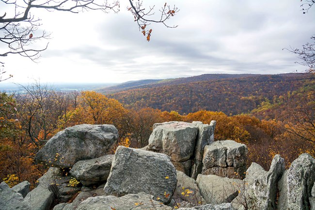 View of Chimney Rock in the Fall on an overcast day.