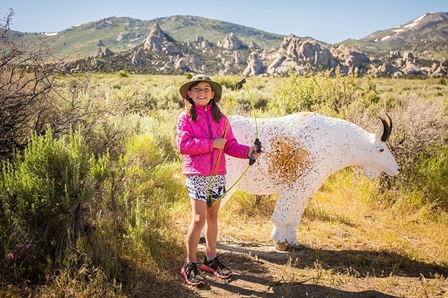 Girl stands with her bow next to her arrow in the vital organs of a 3-d foam mountain goat target