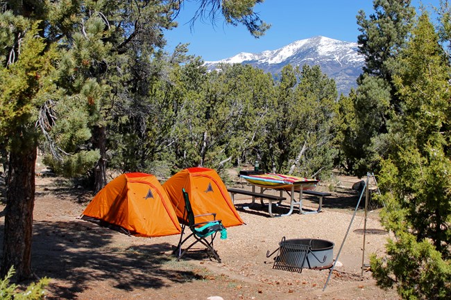 Two tents in a campground at Smoky Mountain.