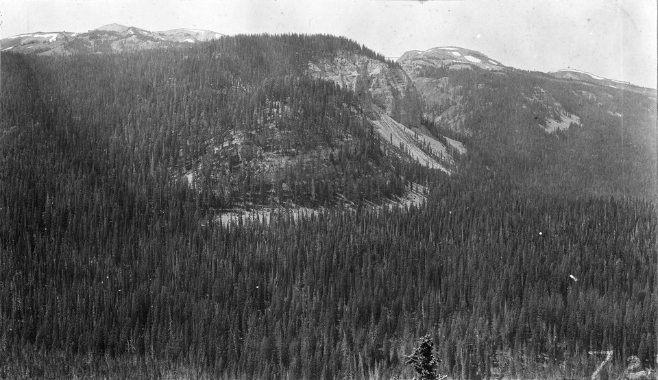 A mountain slope is entirely covered in mature forest, except for a few steep cliff jutting out.