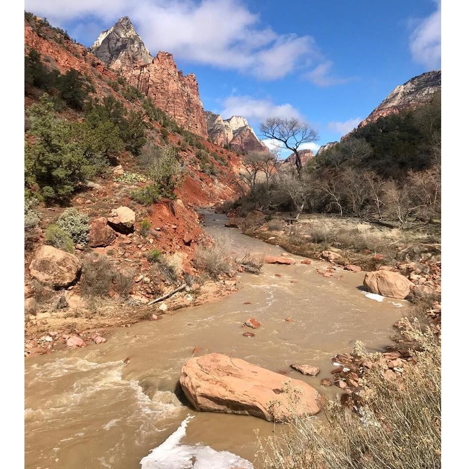 The Virgin River flowing through Zion Canyon