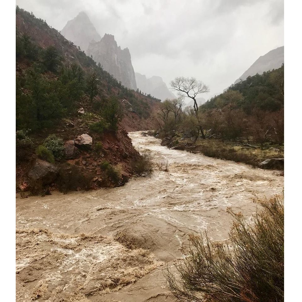 The Virgin River flowing through Zion Canyon