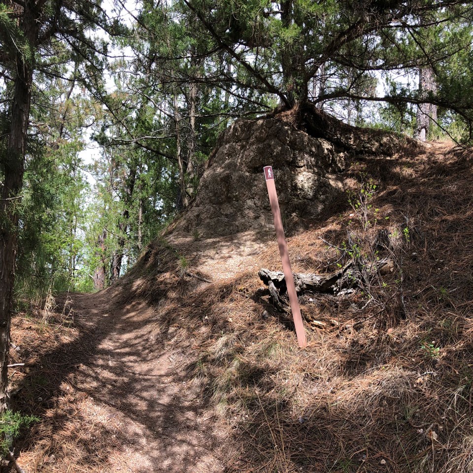 Hiking trail and sign looking uphill.