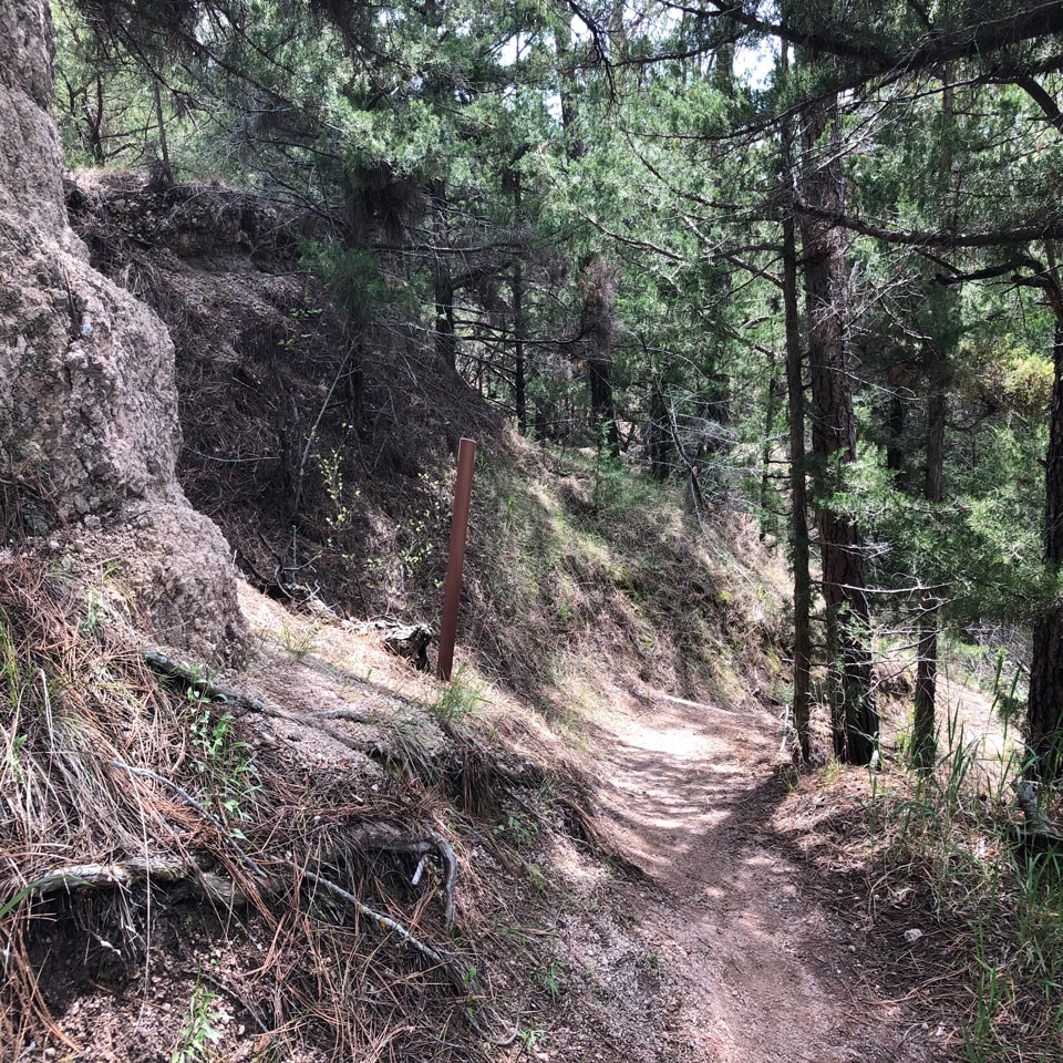 Hiking trail and sign looking uphill.