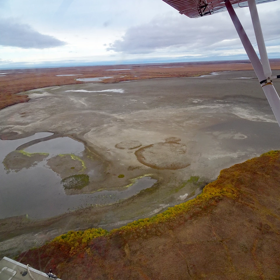 A large lake where Yellow-billed Loons nest in June 2009 in Bering Land Bridge National Preserve