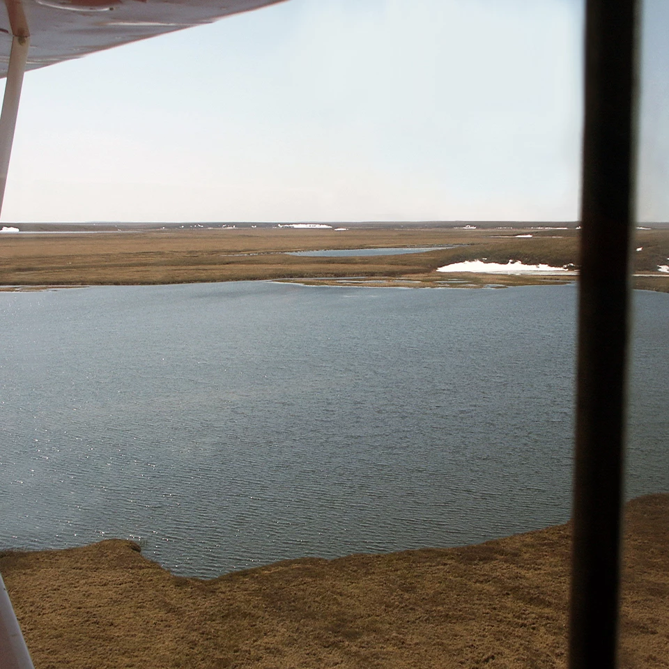 A large lake where Yellow-billed Loons nest in June 2009 in Bering Land Bridge National Preserve