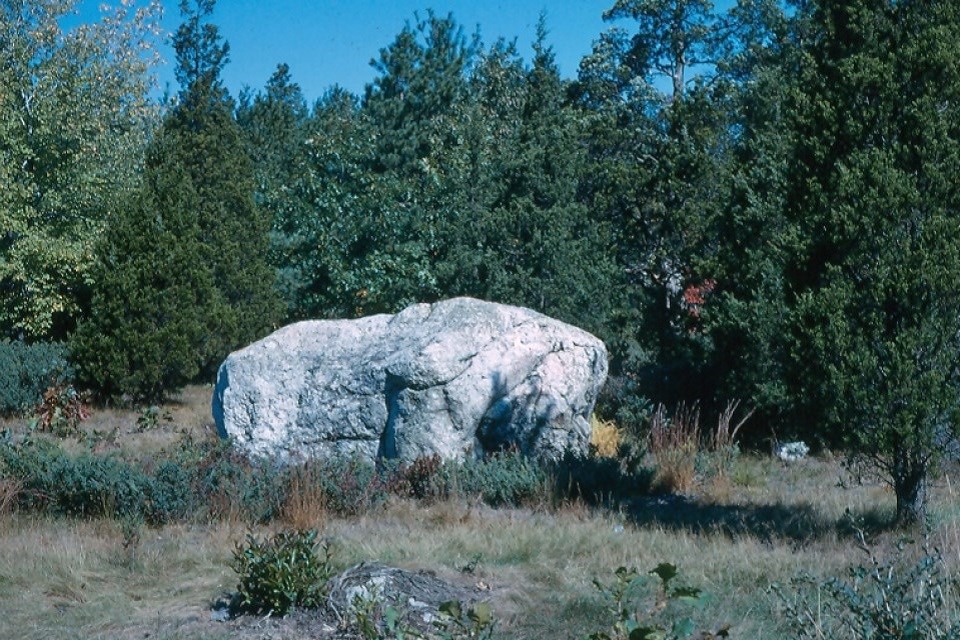 The Minute Man boulder stands in a clearing of grass, surrounded by young trees.