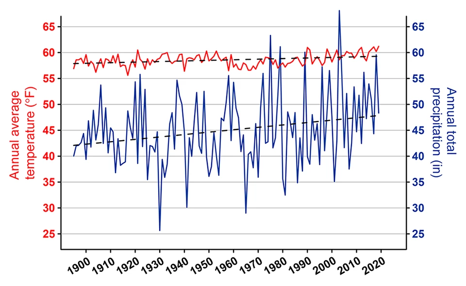 James City County temperature and precipitation line graph 2019
