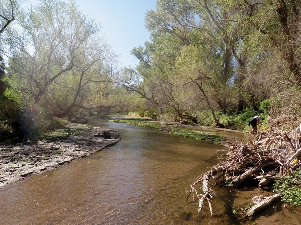 Santa Cruz River flowing