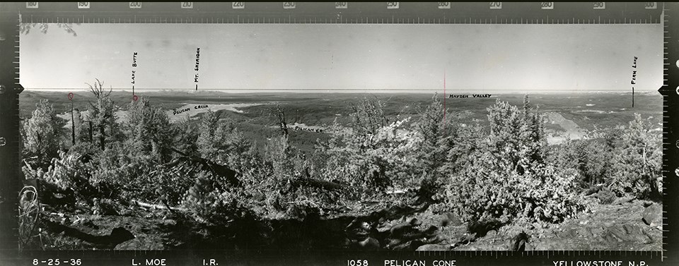 Pelican Cone, Yellowstone National Park from 1936