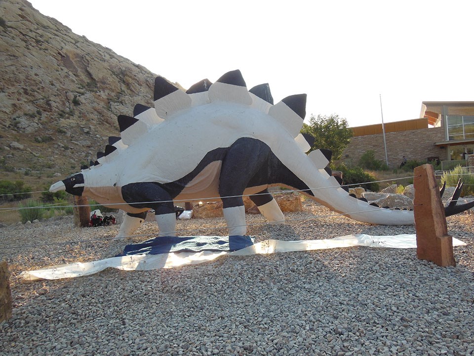 White stegosaurus with black back plates in a pebble field.