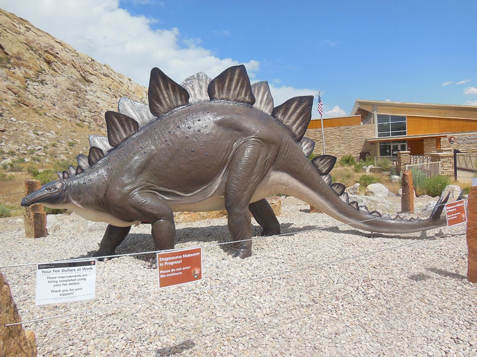 White stegosaurus with black back plates in a pebble field.