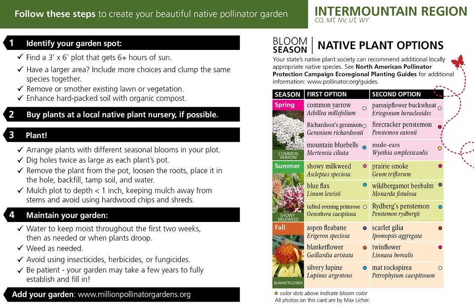 Intermountain Region Pollinator Card (front)