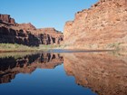 The Colorado River flowing through a canyon