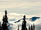 mist on forested mountains