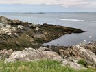 A rocky shoreline surrounded by blue ocean water with white sea birds and boat in the distance