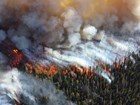 Aerial view of a forest fire with red flames and white and gray smoke