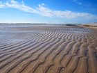 wave rippled sand exposed during low tide