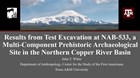 Preliminary Results from NAB-533 Prehistoric Archaeological Site