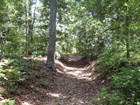 A sunken earth road stretched straight ahead through a dense sunlit forest.