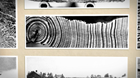 a black and white photo of tree rings close up