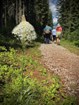 a flower in front of a hiking trail