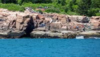 Thunder Hole thumbnail image