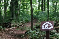 Yellow Mountain Gap Tennessee thumbnail image