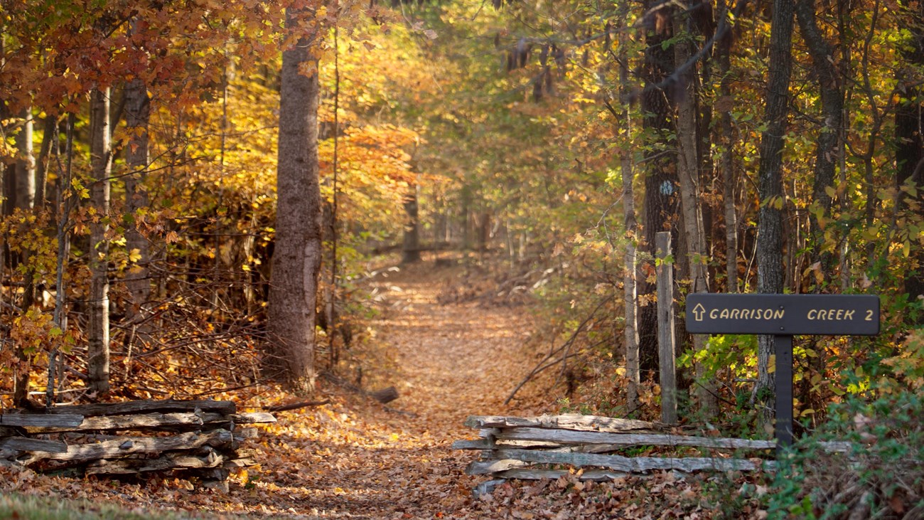 trailhead leading into forest. Orange and yellow leaves hang from trees bordering trail.