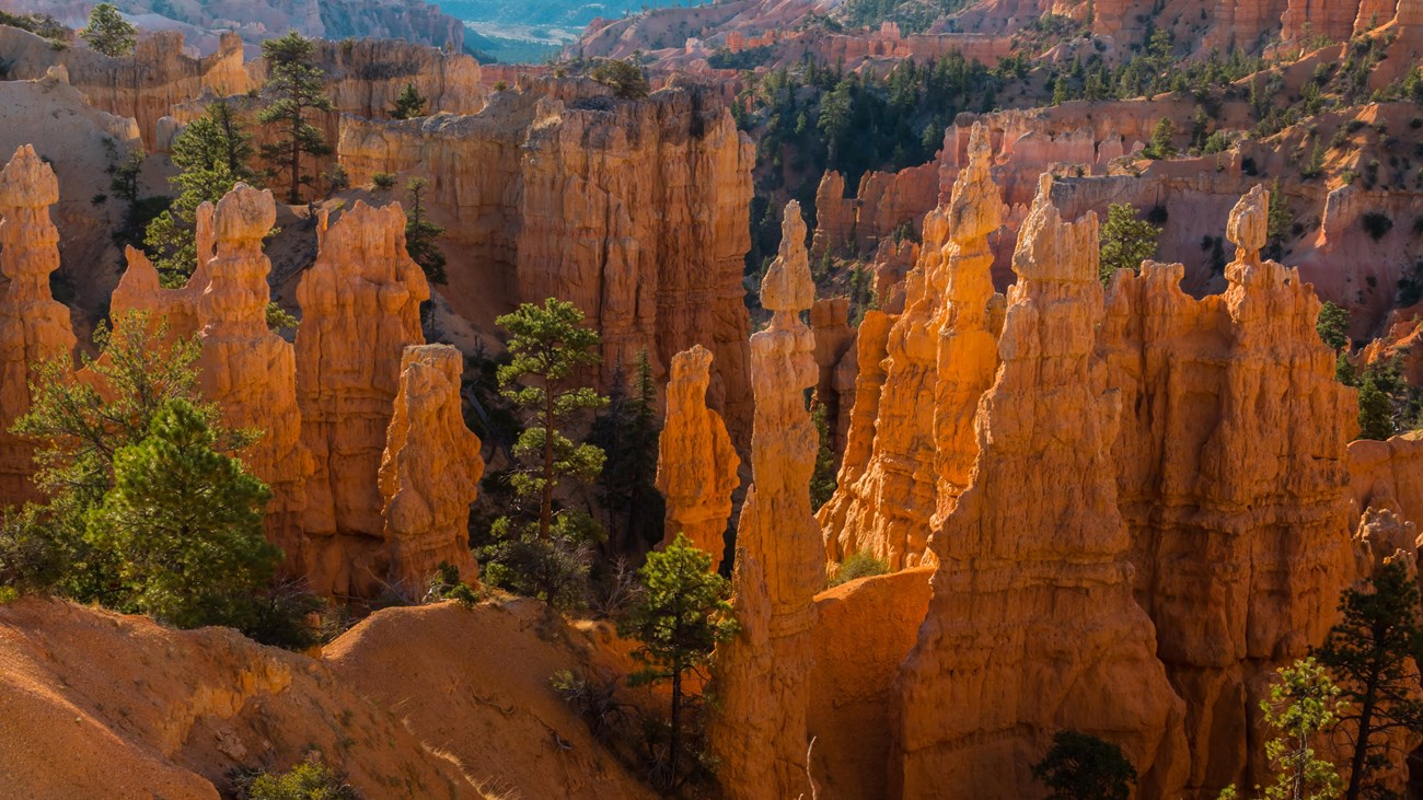 An overhead photo of red rock formations that appear to be glowing in the sun