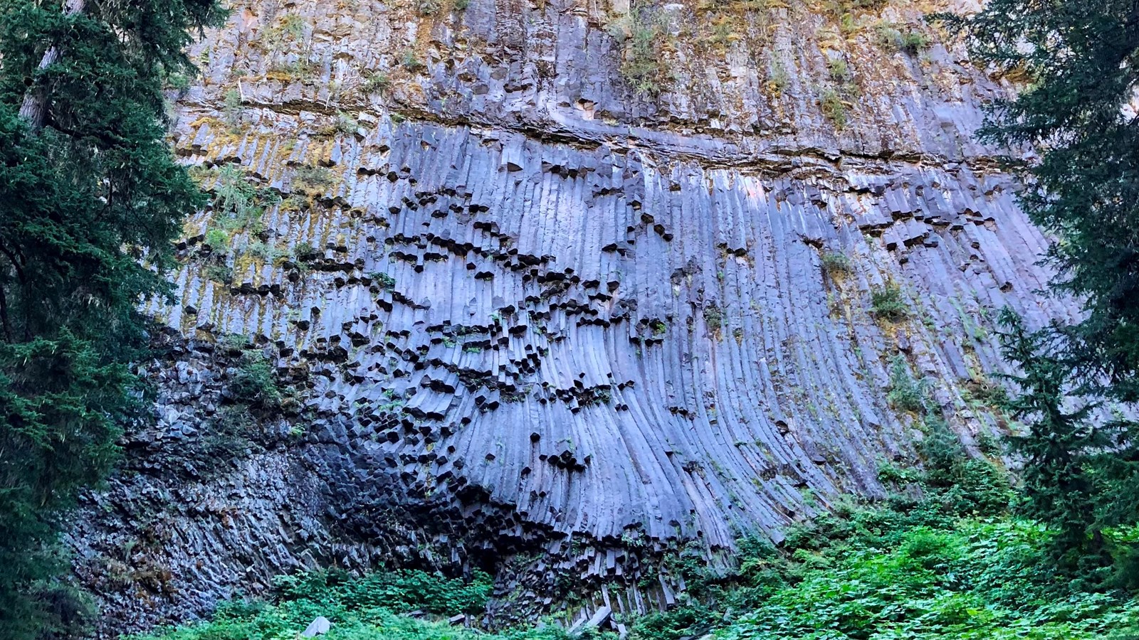 A cliff with columns of lava rock framed by forest. 