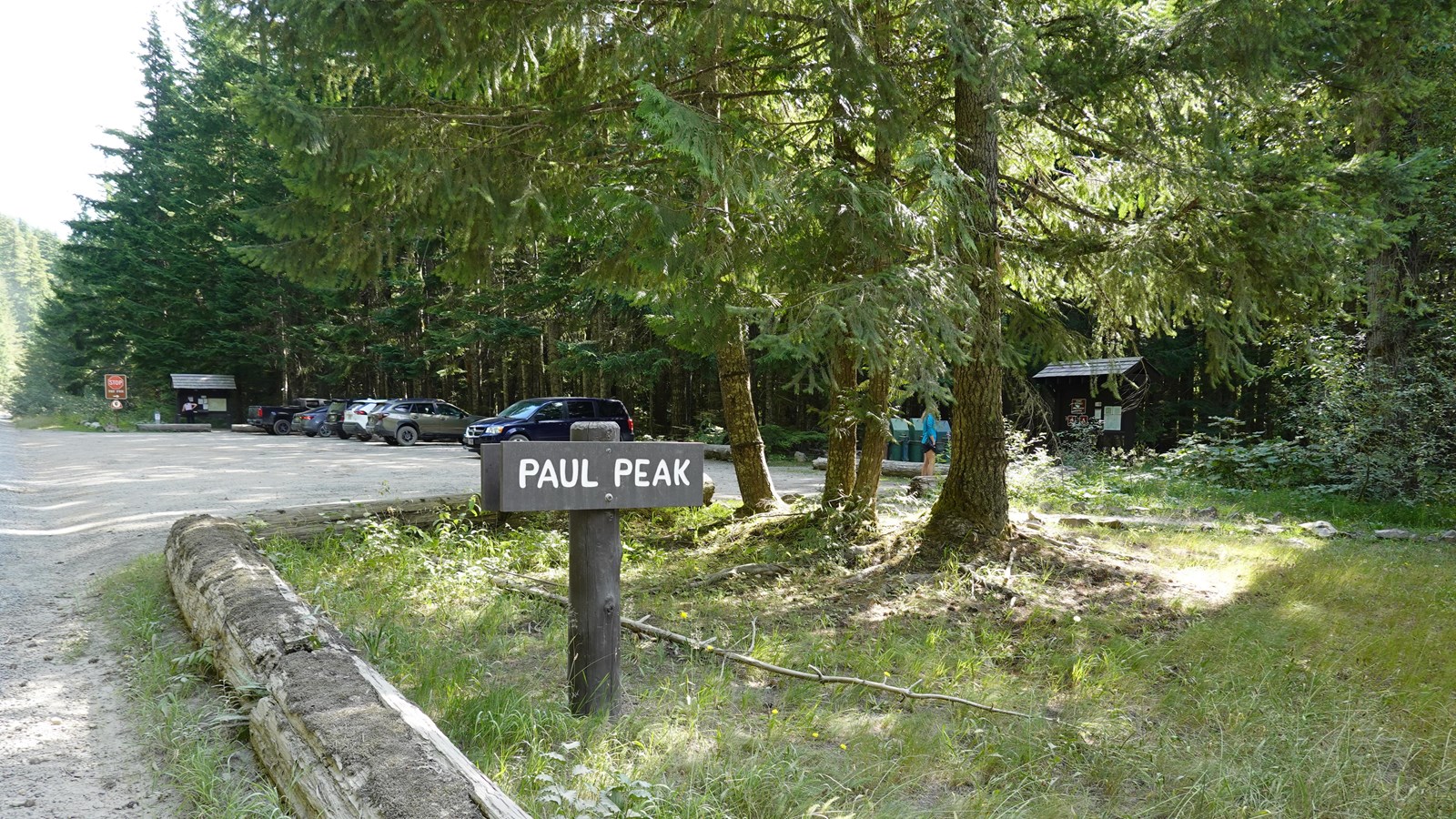 A dirt road in a forest leads to a parking area on the right with a small sign reading