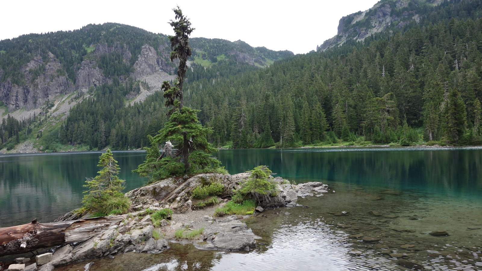  A scraggly pine tree grows on a small rocky island in a lake surrounded by forested hillsides. 