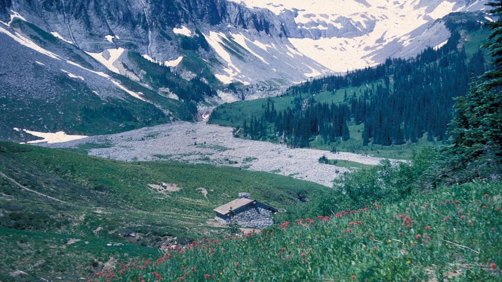 Trail shelter surrounded by subalpine meadows